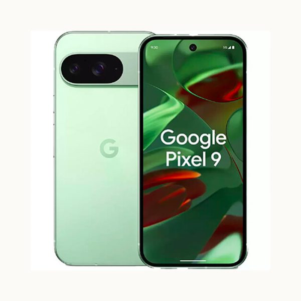 Google Pixel 9 (Venant) 128Gb Ram 8 +chargeur
